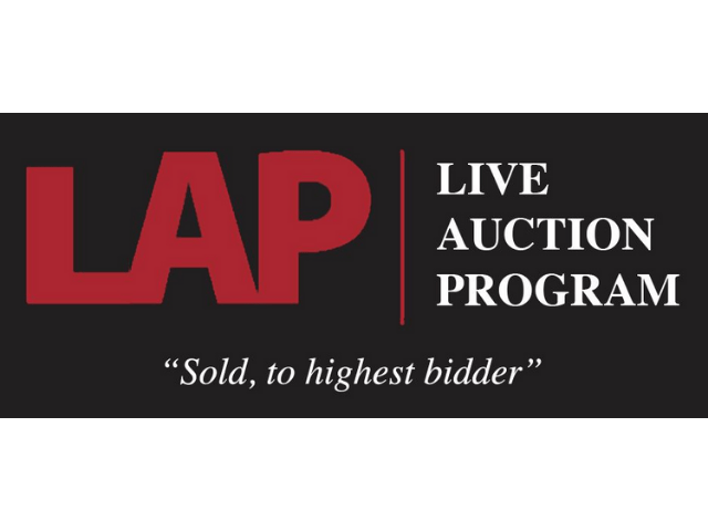 Read more about the article When The Value Of The Parts Exceed The Value of The Whole Turn To CBI’s Live Auction Program