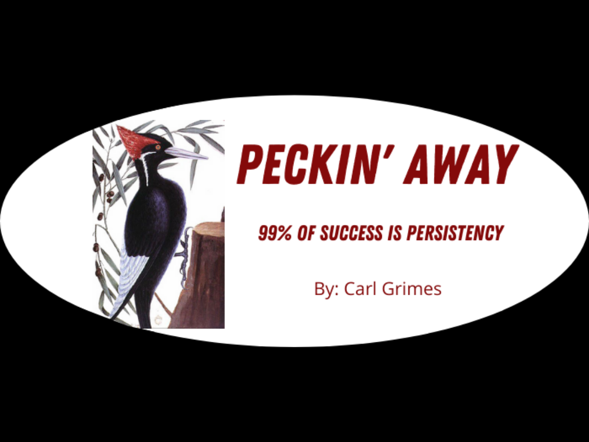 You are currently viewing Peckin’ Away