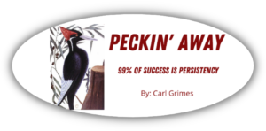 Read more about the article Peckin’ Away